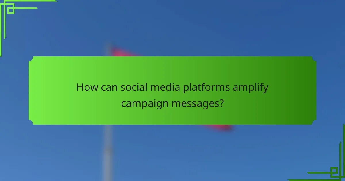 How can social media platforms amplify campaign messages?