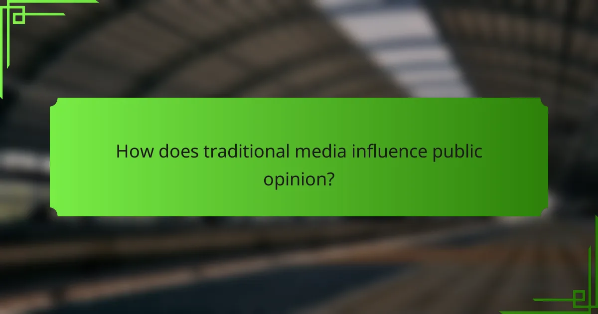 How does traditional media influence public opinion?