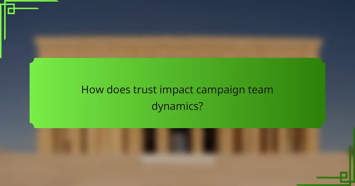How does trust impact campaign team dynamics?
